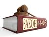 Пролонгация договоров в рамках 44 и 223 ФЗ