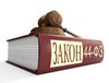 Определен перечень нормативных правовых актов, соблюдение обязательных требований которых проверяется Казначейством России при проведении мероприятий по государственному контролю в сфере закупок