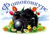 Международный фотоконкурс «Ценный кадр»