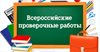 ВПР по русскому языку написали школьники региона